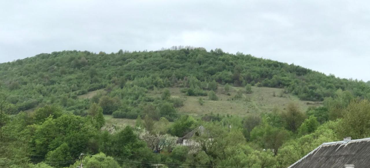 Квітковий Двір Golubinoye Dış mekan fotoğraf